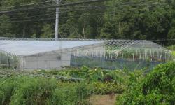 Featured image of post Bike Tour - Shimoda