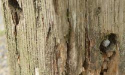 Featured image of post New Header Image: Wooden Posts