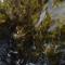 New Header Image: Water