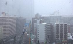Featured image of post Second Snow in Tokyo