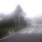 Ride Report: West Izu
