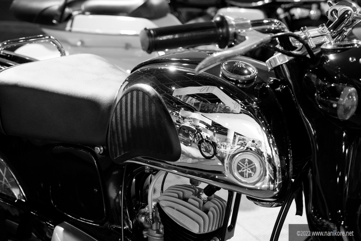 Black and White Chrome Tank shot
