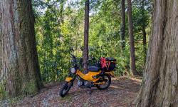 Featured image of post 6 months with the Hunter Cub