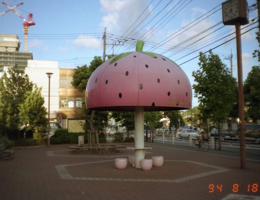 Sit at the Strawberry