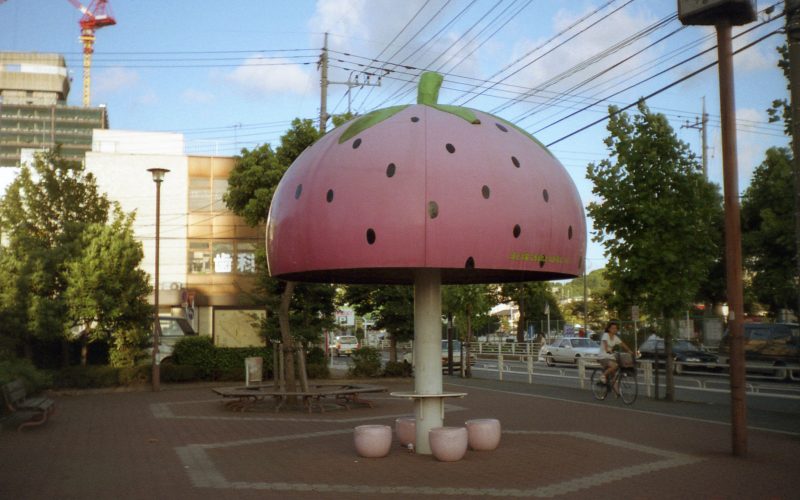 Sit at the Strawberry